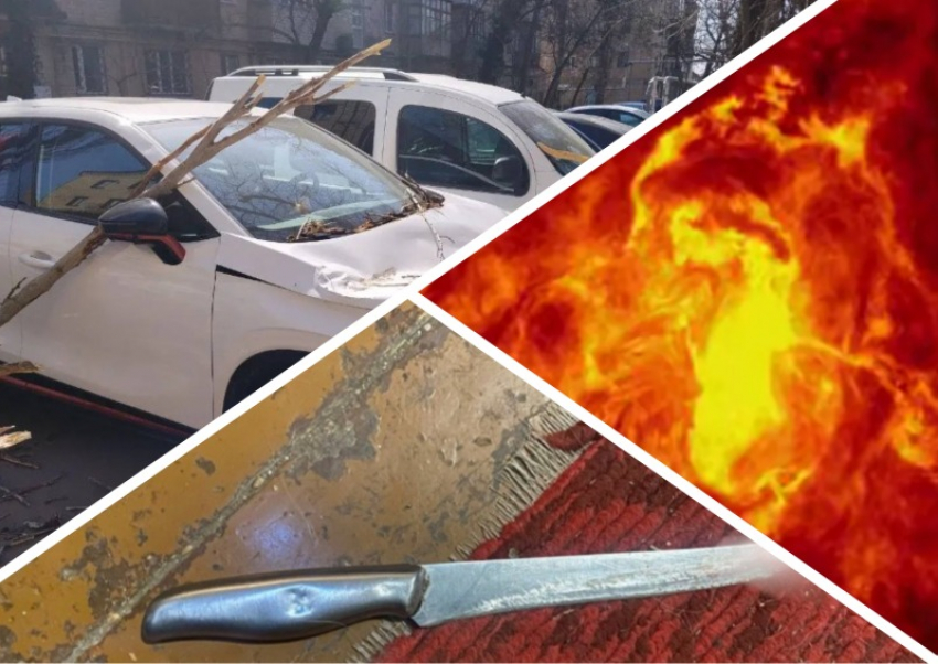 Новости Запорожья: девушка в гневе зарезала отчима, последствия урагана и самая сильная магнитная буря