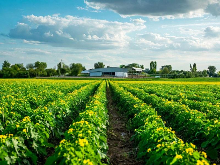 Более ста предостережений Россельхознадзора выдали в Запорожской области 