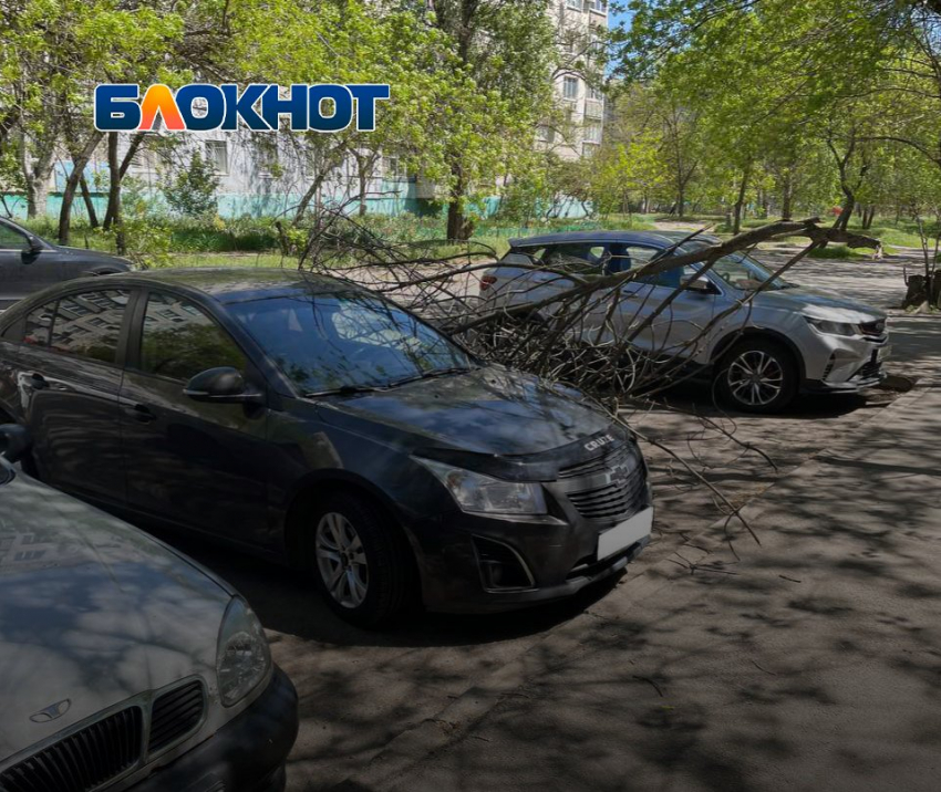 В Мелитополе выпали осадки в виде огромных сухих веток