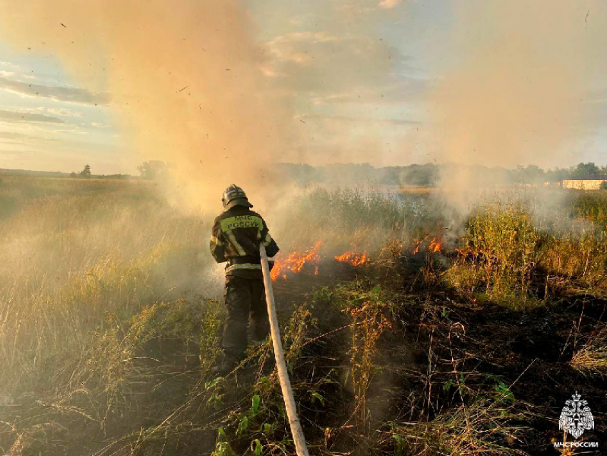 Костры строго запретили разжигать в Запорожской области 5 октября