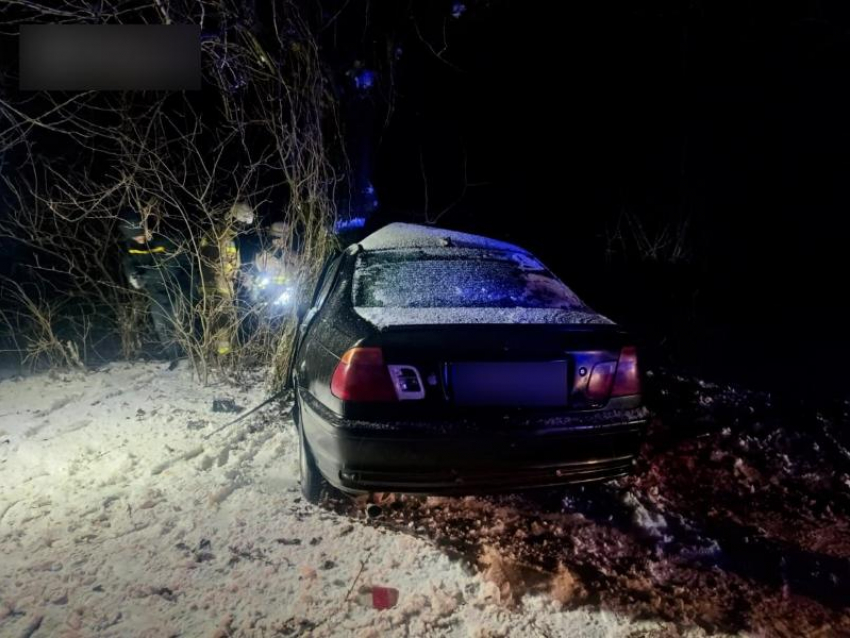 BMW на полной скорости влетел в дерево в Запорожье