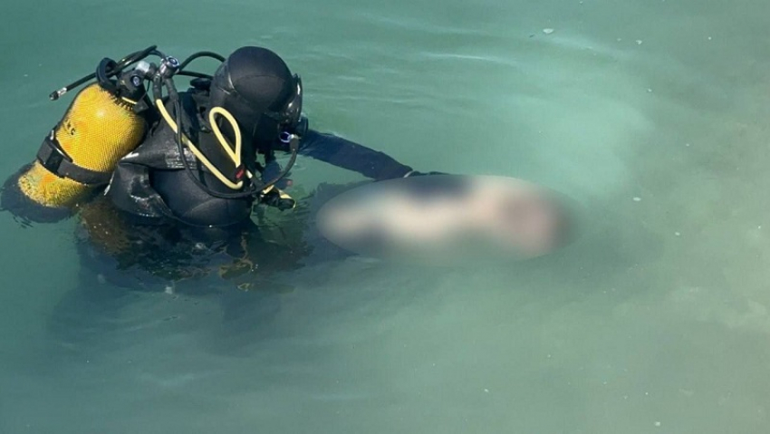 На песчаном карьере в Запорожье утонул 17-летний подросток