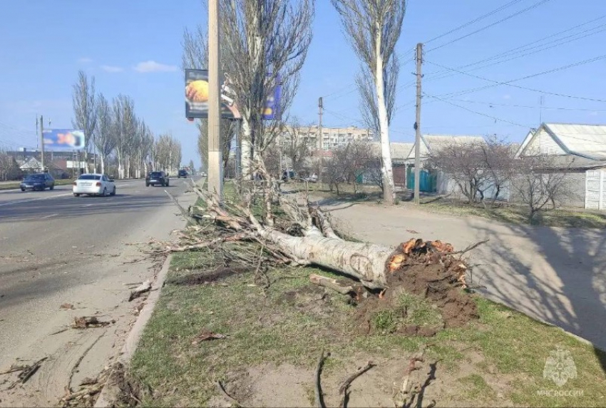 Последствия мощного урагана в Мелитополе и Акимовке показали в МЧС