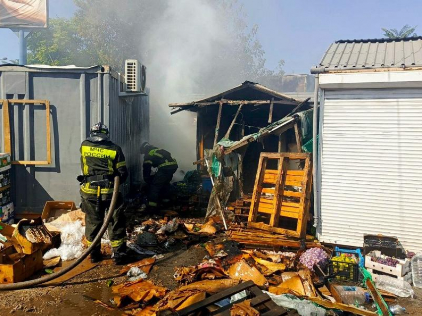 Подробности пожара на мелитопольском оптовом рынке овощей раскрыли в МЧС 