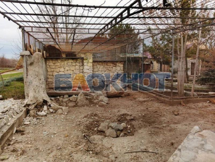 Раскрыты последствия удара дронов ВСУ по Васильевскому зоопарку