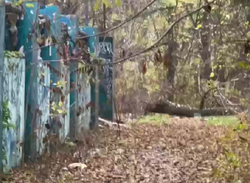 Опасные забавы детей с петардами попали на видео в Мелитополе