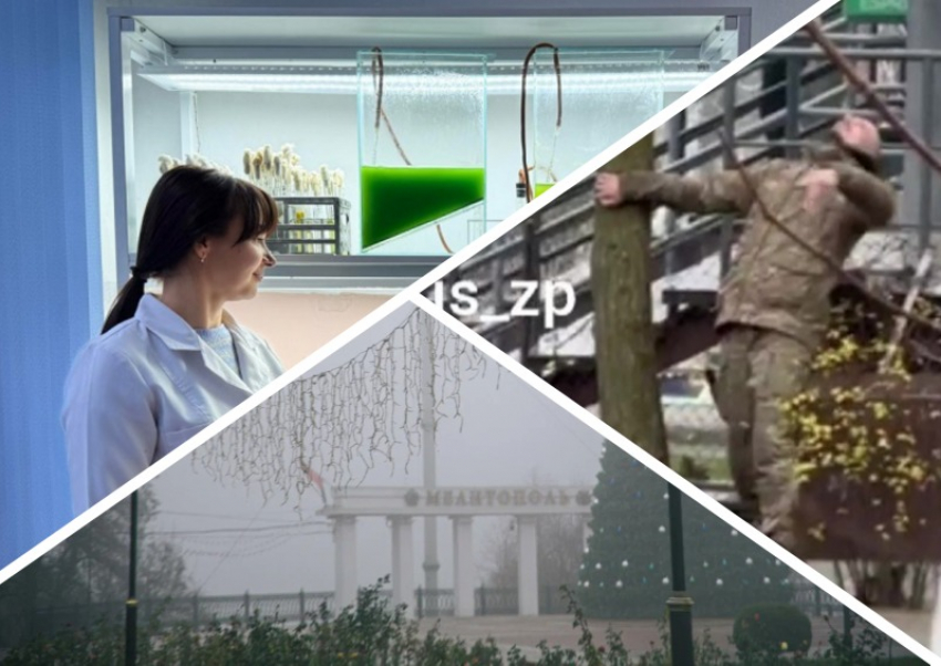 Новости Запорожья: солдат ВСУ словил «приход», преображение площади Победы и находка учёных в Мелитополе