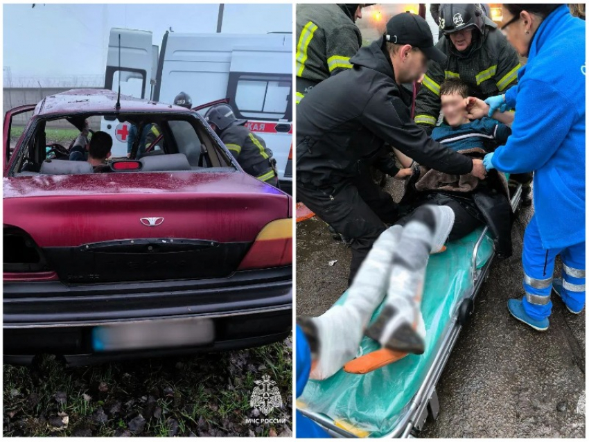 Легковушка влетела в дерево в Бердянске: пострадали четыре человека