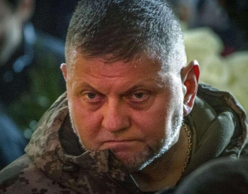 Залужного ранили по наводке офиса Зеленского, заявил экс-командующий Запорожской бригадой ВСУ