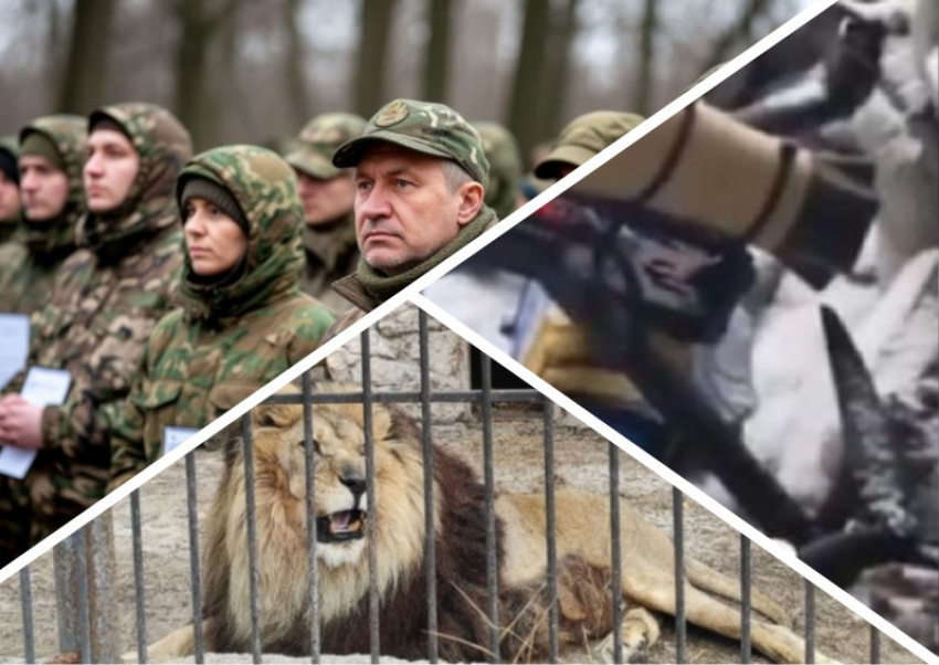 Новости Запорожья: ВСУ ударили по животным, судьба уклонистов на референдуме и радужный дрон