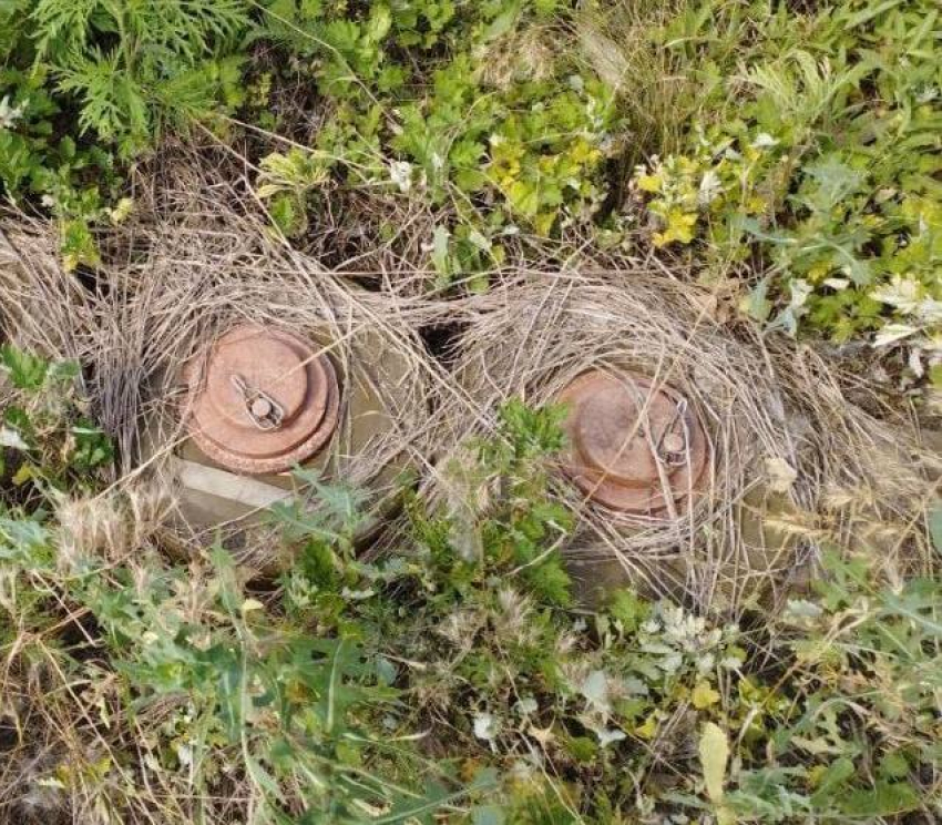 В Запорожской области полицейские нашли «клад» с боеприпасами