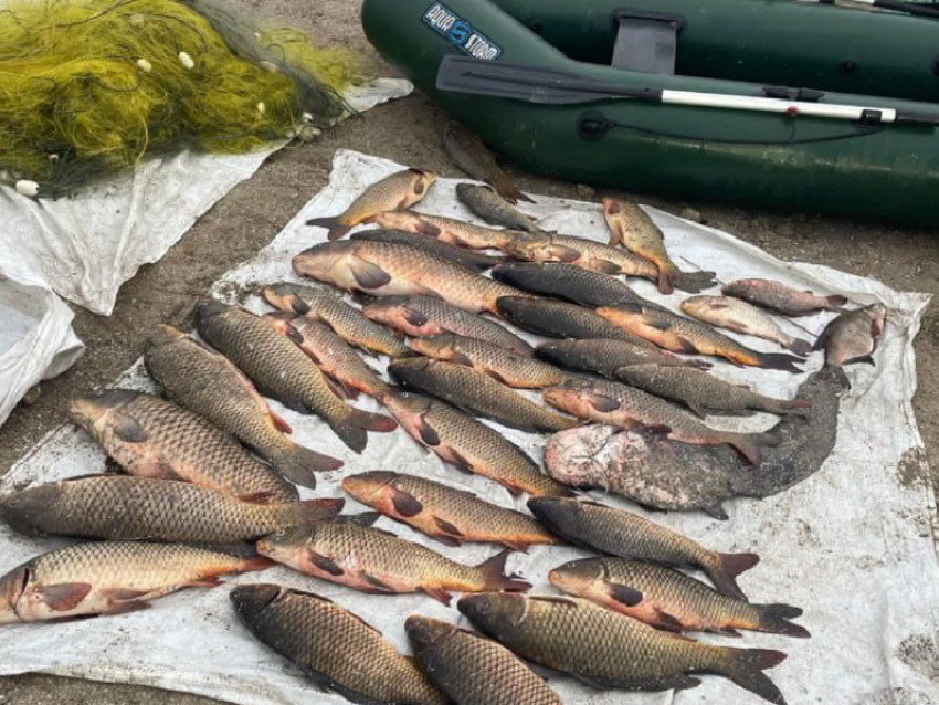 Когда в Запорожской области запретят ловить рыбу в зимовальных ямах