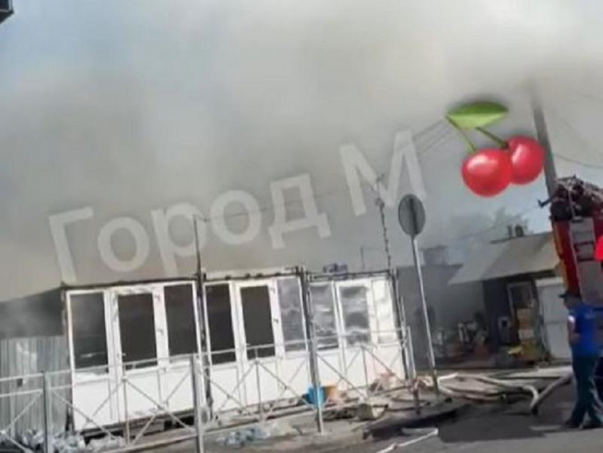 Опубликованы кадры пожара на оптовом рынке овощей в Мелитополе 