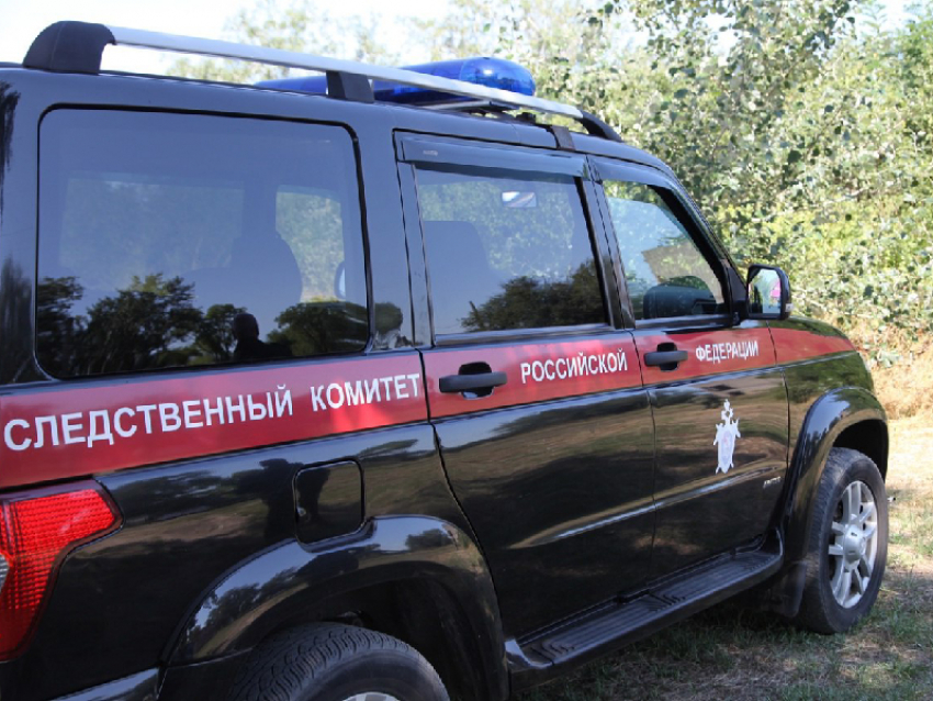 СК РФ займётся расследованием удара дрона ВСУ по двум женщинам под Васильевкой