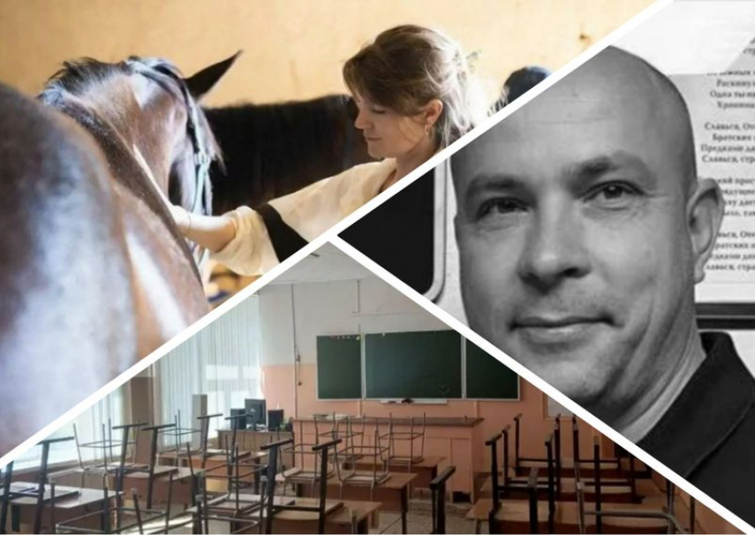 Новости Запорожья: школы перевели на дистант, помощь лошадям и похороны чиновника