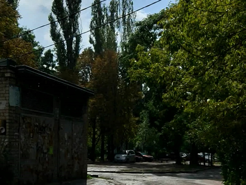 Слепой дождь сняли на видео в центре Запорожья