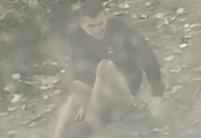 Мужчина продемонстрировал голый зад всему Запорожью и попал на видео