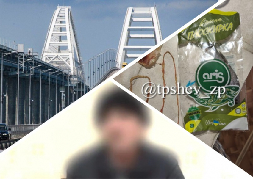 Новости Запорожья: женщина чуть не съела червей из рыбы, работа на ГУР ради сына и подготовка к разрушению Крымского моста