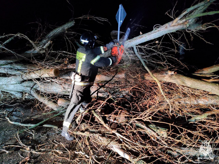 Спасатели убрали упавшие деревья в Запорожской области