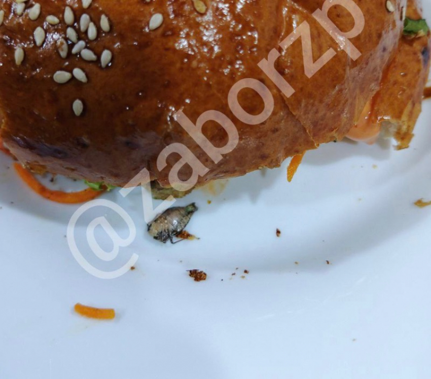 Жительница Запорожья купила в местном супермаркете бургер с огромным жуком внутри