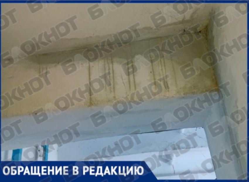 ФКР отремонтирует ливневку многоквартирного дома в Бердянске, из-за которой затопило квартиры, до конца июля