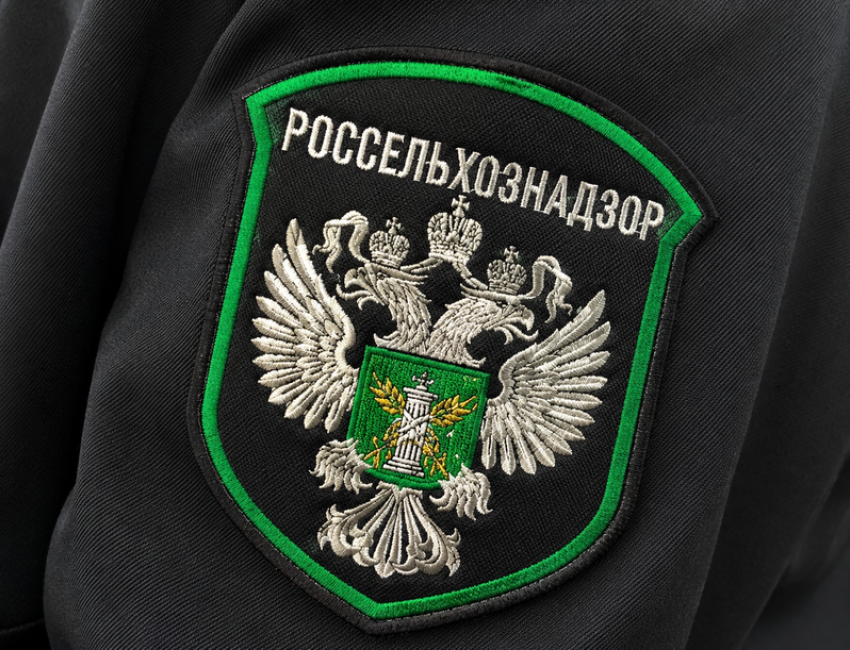 В двух кафе и столовой Мелитополя обнаружили мясо без документов