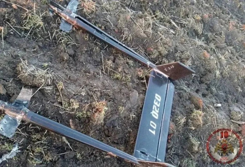 Евгений Балицкий: более 10 дронов ВСУ сбили на Запорожской областью ночью 2 апреля