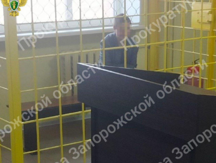 Фанатку Битцевского маньяка из Бердянска отправили в СИЗО на два месяца