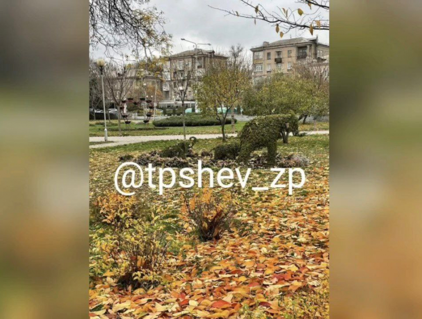 Необычная фигура из кустов украсила парк Запорожья