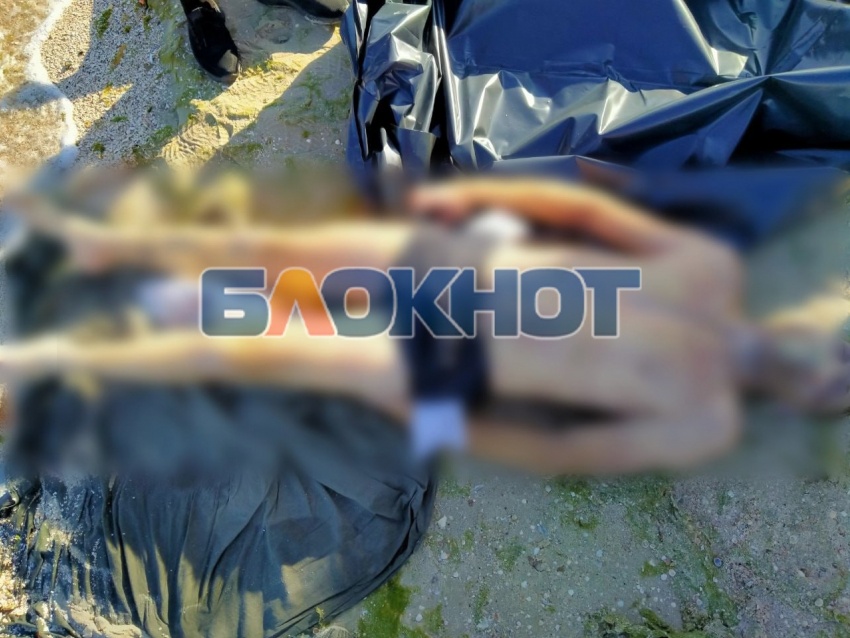 31-летний мужчина утонул в Азовском море у пляжа в Кирилловке