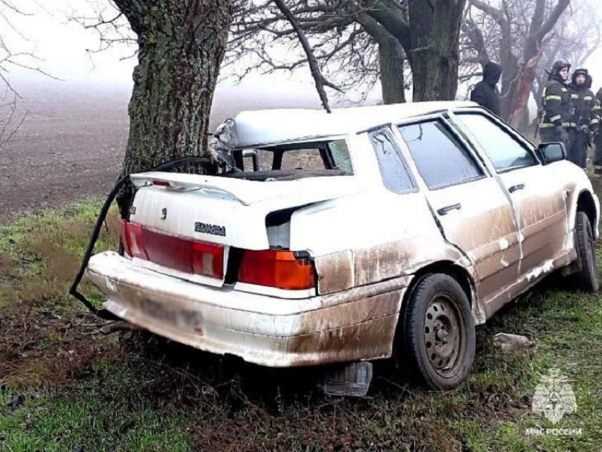 Водитель LADA попал в больницу после столкновения с деревом у села Семёновка под Мелитополем