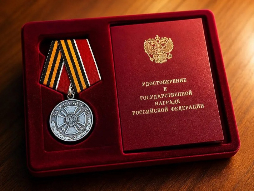 Владимир Путин наградил запорожских энергетиков медалью «За храбрость»