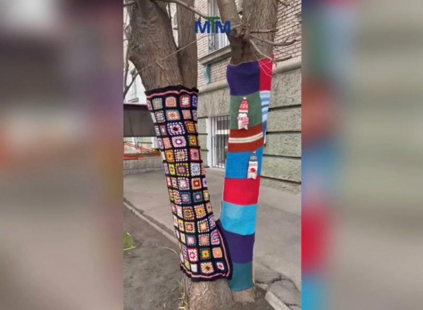 Неизвестные мастера утеплили запорожские деревья вязаными нарядами