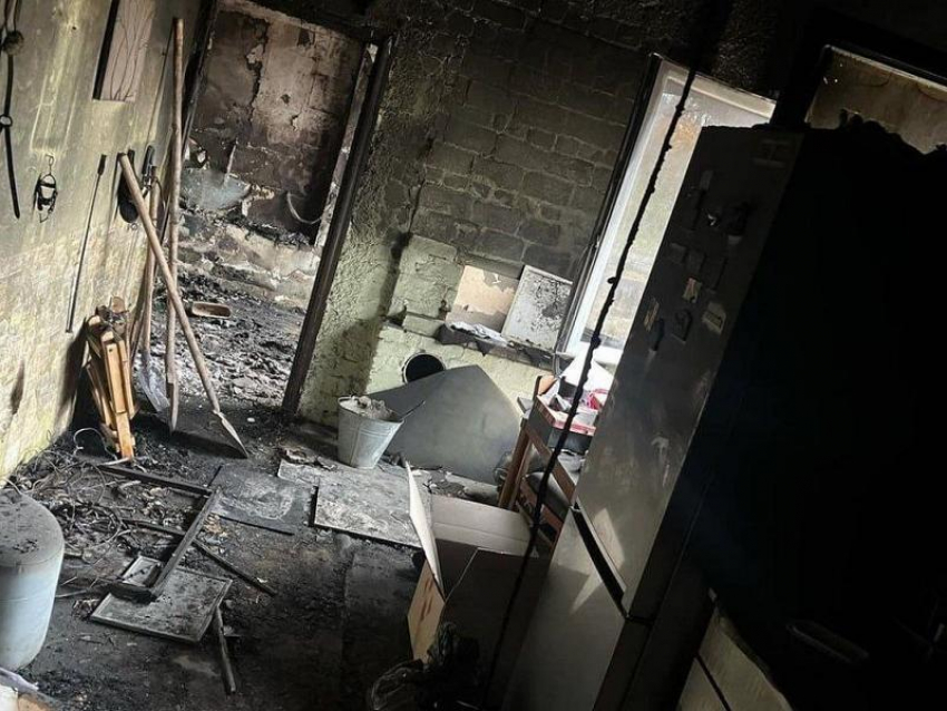 Пельмень и Цезарь погибли в сгоревшем конном клубе города Запорожье