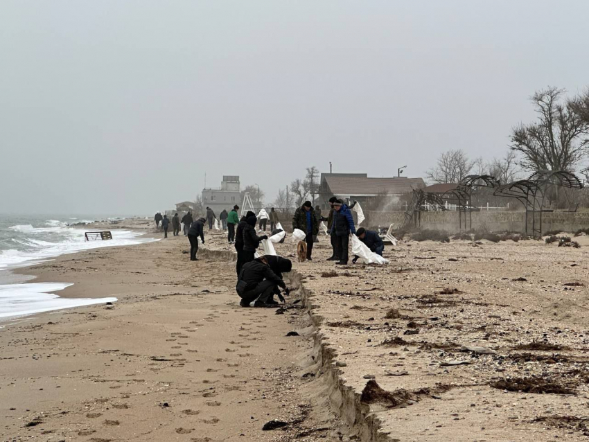 На берег моря в Запорожской области выбросило большое количество погибших моллюсков