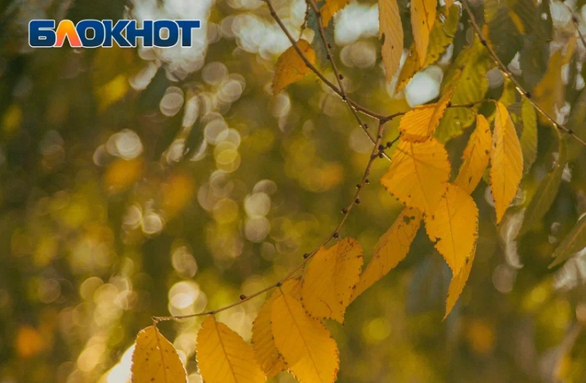 Стало известно, когда отменят особый противопожарный режим в Запорожской области