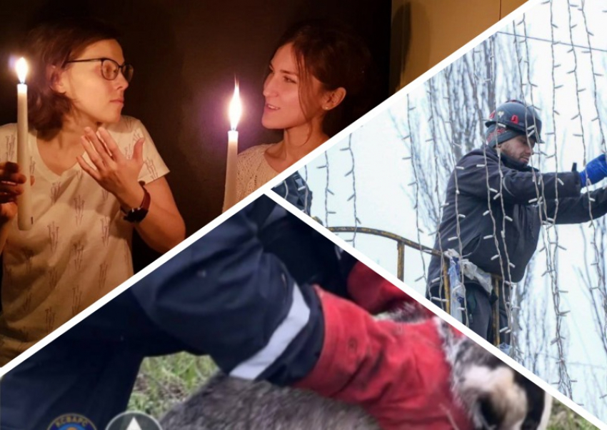 Новости Запорожья: погода «выключила» свет в регионе, новогодние декорации в Мелитополе и спасение барсука