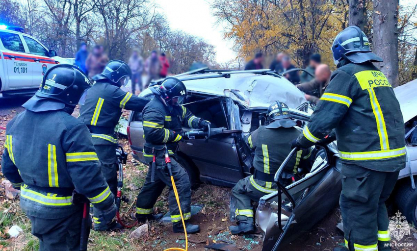 В Мелитопольском районе произошло смертельное ДТП