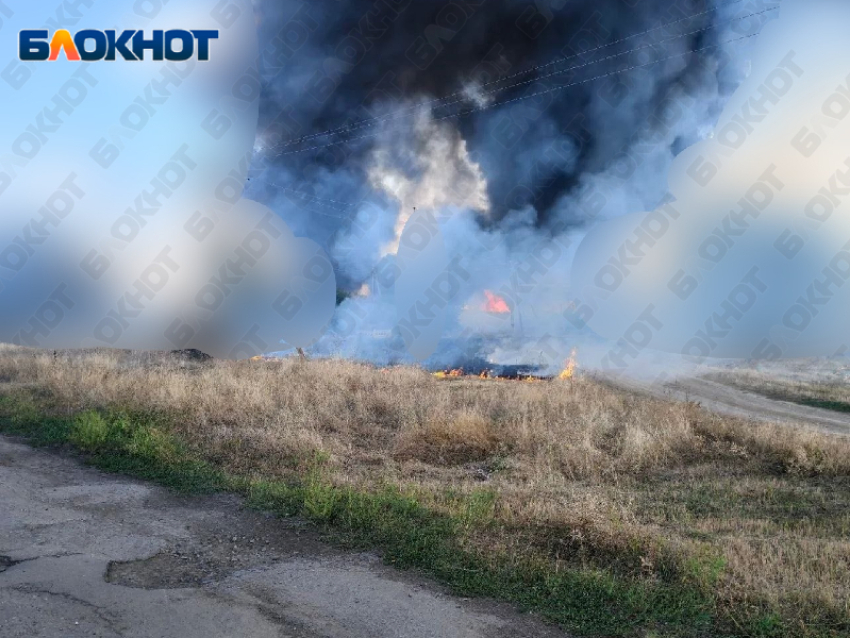 Ферма в селе под Васильевкой оказалась под огнем боевиков ВСУ