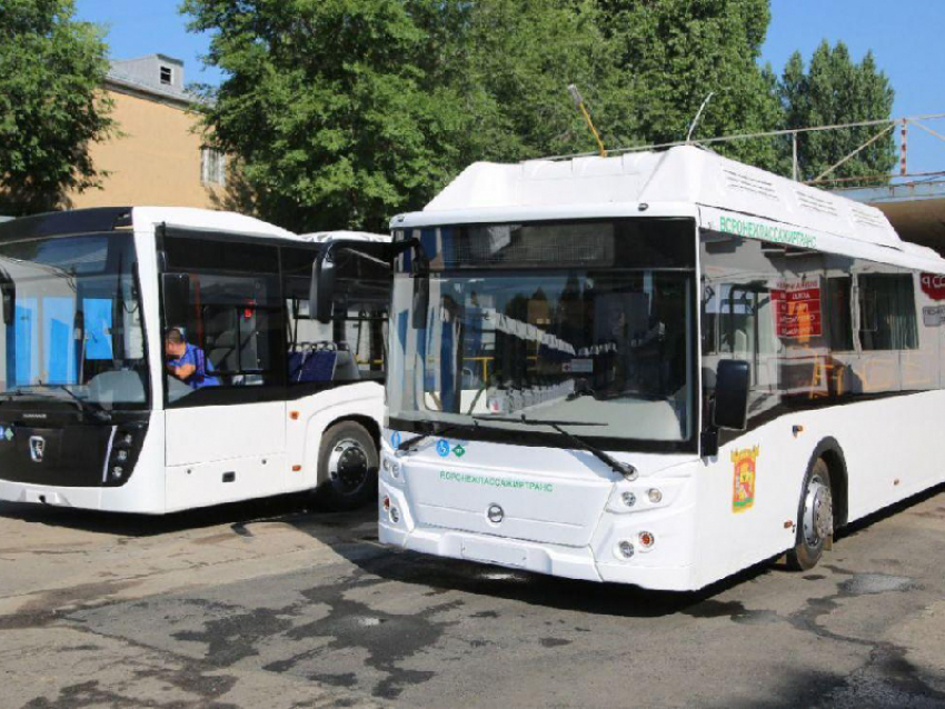 Новый автобусный маршрут связал Мелитополь и Воронеж