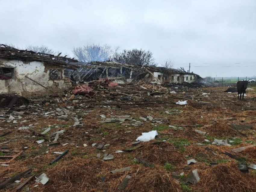 Десяток дронов ВСУ ударил по конной ферме в Акимовском округе: погибли 14 лошадей