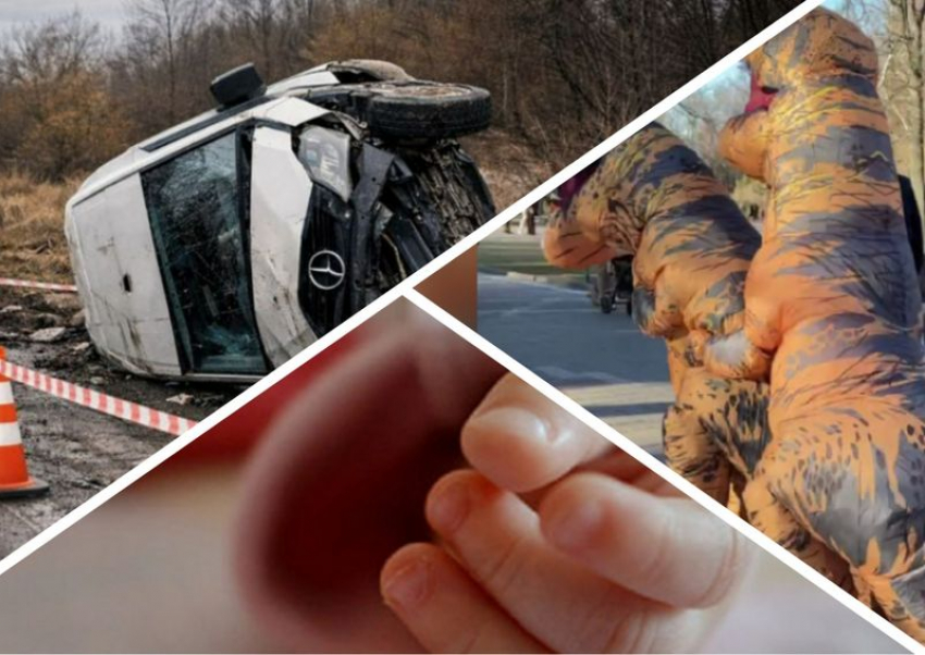 Новости Запорожья: виновник ДТП заплатит миллион, спасение младенца и секс динозавров