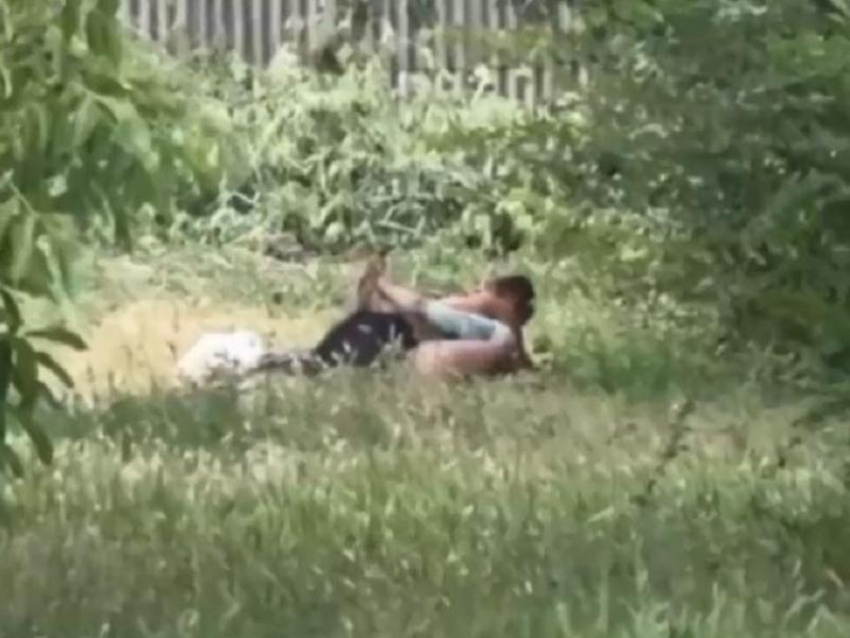 Публичный утренний секс попал на видео в Запорожье